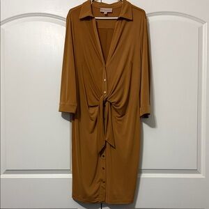 Elegant Brown Button-Down Dress